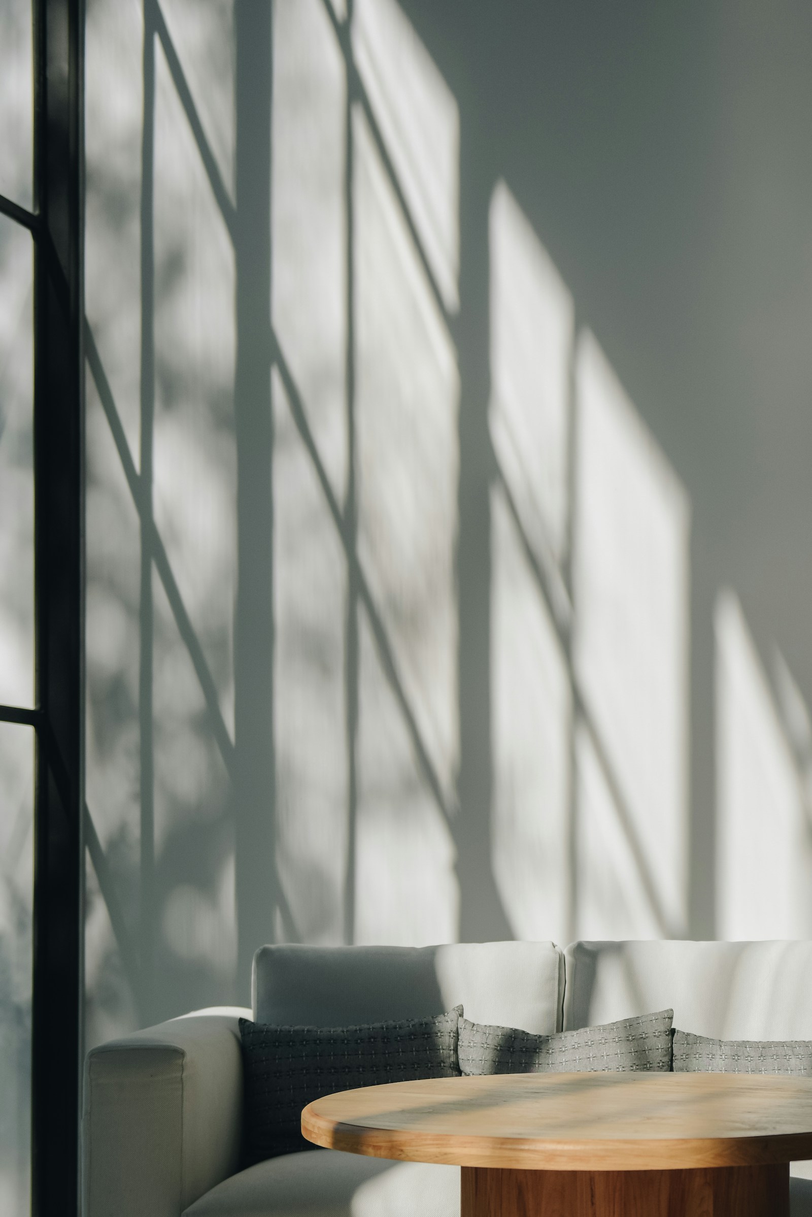 The Plain Medical waiting room with an olive tree, white walls, and a row of low chairs in soft natural light.